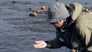 preview picture of video 'Mystisk kläckning i Lapplandsfjällen'