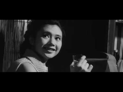 Noir Alley - Pale Flower (1964) intro 20250622