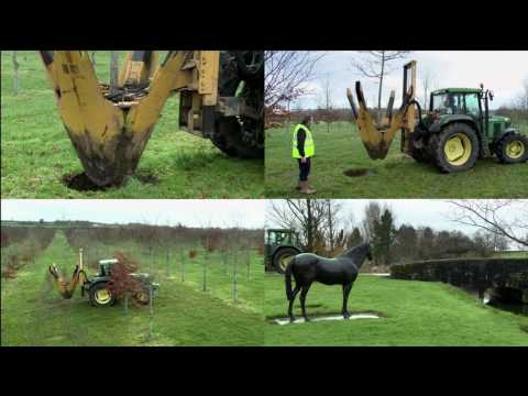 Behind The Gates Series - Tree Planting