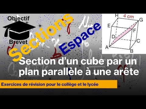 Dessiner en vraie grandeur la section d'un solide