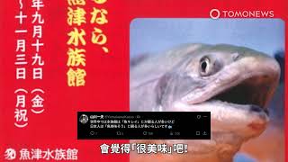 魚津水族館辦壽司展🍣 觀賞活體食材增進食慾