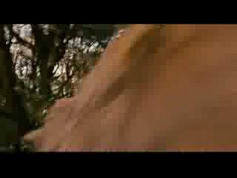 Everlife - Look Trough My Eyes - OST Bridge To Terabithia