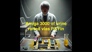 Amiga 3000 of urine P3 -Fin 64 hrs in 3 months