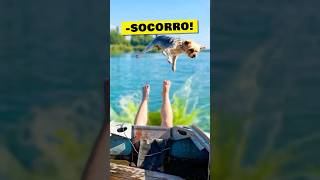 Ele se APROXIMOU DEMAIS do mergulho!