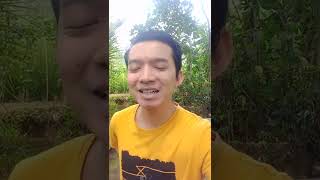 Download lagu Bintang Di Surga Versi Cicak Cicak Di Dinding mp3 Download lagu Bintang Di Surga Versi Cicak Cicak Di Dinding mp3