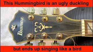 Video thumbnail for Dirty Ibanez F-360 BK Concord acoustic. Hummingbird and a strange neck/body fault but it can sing! by Lennon Luthier & Georgie Girl