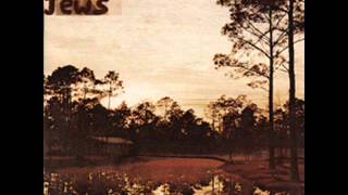 silver jews - Advice To The Graduate