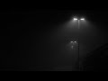 Chinnanjiru Nilave Slowed To Perfection Reverbed