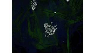 Drawn from Bees - Talk to God