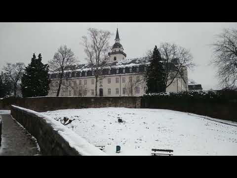 Der Klimawandel schlägt zu. Siegburg (RHEINLAND!) am 8.3. 2023. (Trotz "Kontext" unter dem Video)