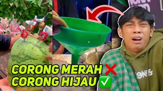 Download lagu DEBM IS AT IT AGAIN‼️ mp3