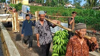 Download lagu Wow, Amazing! This Viral Wedding Brings the Cow Every Woman Dreams of in Kersamanah Village, Garut mp3 Download lagu Wow, Amazing! This Viral Wedding Brings the Cow Every Woman Dreams of in Kersamanah Village, Garut mp3