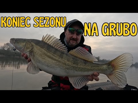 GRUDNIOWE SANDACZE z DZIKIEJ WISŁY / odc. 238