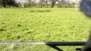 preview picture of video 'Sheep near Sudeley Castle 2014 04 18'