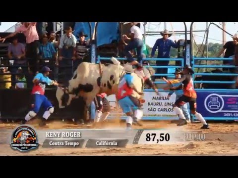 Rodeio de Herculândia 2015 - MELHORES MONTARIAS / SEMI FINAL