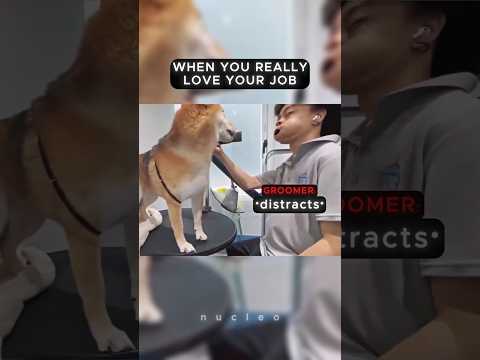 Secret Move Unlocked 😳