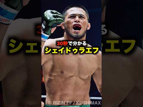 30秒で分かるラジャブアリシェイドラエフ#shorts #mma