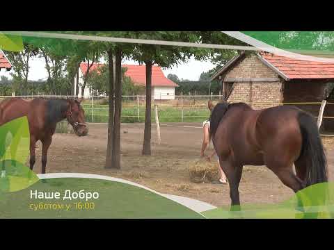 Naše dobro ep. 152 03.07.2021. NAJAVA