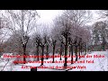 Peter Alexander - Schneewalzer (Lyrics)