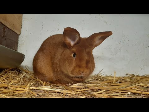 To był najgorszy rok mojego życia - Podsumowanie roku 2020