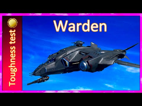 3.17 Toughness test Warden - 50% shield hps