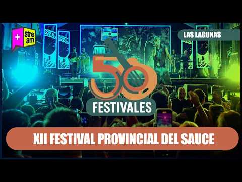Las Lagunas - XII Festival Provincial del Sauce  - 27 - 02 - 2026
