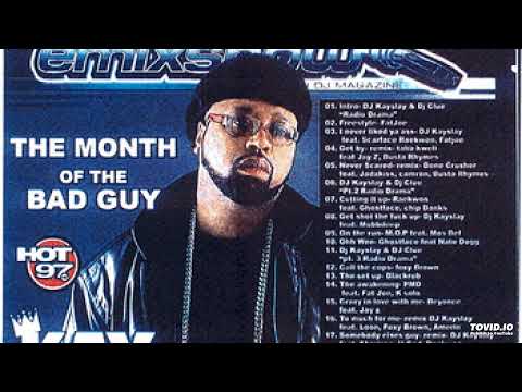 DJ Kayslay I Never Liked Ya Ass