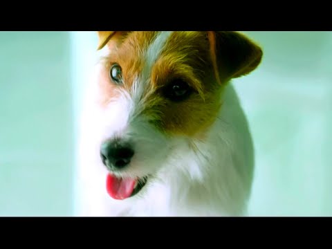 YouTube Preview Image