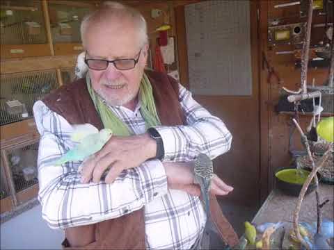 2019 05 27 Der Wellifluestererfilm des Tages