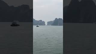 #music #song #hanoi #hanoitrainstreet #lifeisbutadream #food…