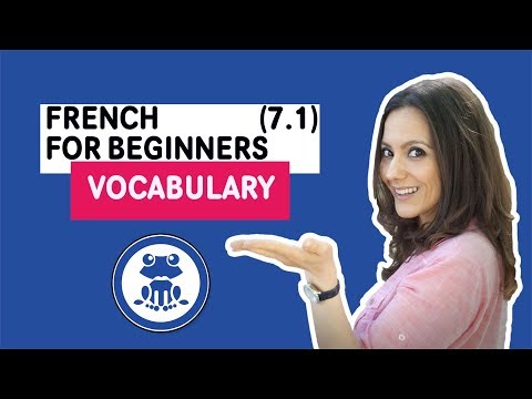 French for Beginners Course: Lesson 7.1 - Learn vocabulary - Speak French