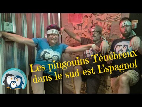 Aperçu de la vidéo