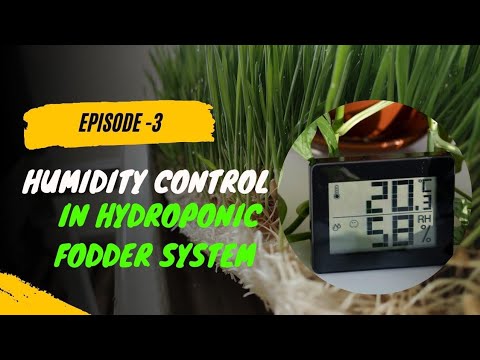 , title : 'Humidity control in hydroponic fodder system | Episode-3 | Ashwin Sawant | Hydroponic Fodder.'