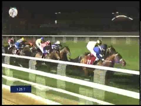 H.H. Sheikh Mohammed bin Khalifa Al Thani Trophy 2013, Gr.2
