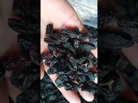 Black raisins seed, packaging type: box, packaging size: 10 ...