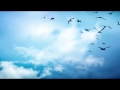 Hang Drum Relaxation Meditation: Relaxing Music ...