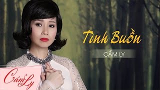 Video hợp âm Tình Buồn Ngọc Lan