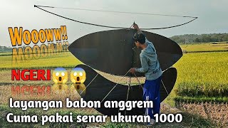 Download lagu LAYANGAN BABON ANGGREM UKURAN 2,8M CUMA PAKAI SENAR UKURAN 1000 😱😱 mp3
