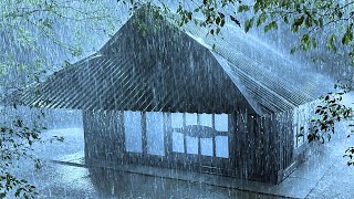 Sleep Instantly & Enter the Dream with Heavy Rain and Thunder Crashing on Rickety Tin Roof at Night