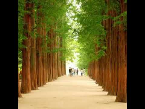 Hà Nội chiều thu - Khánh Ly