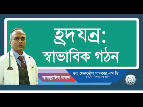 হ্রদযন্র:: স্বাভাবিক গঠন।