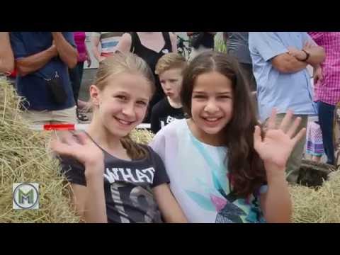 Much Marketing - Wir für Much