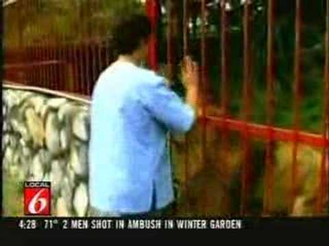 psiara111’s Video 105552368336 zh2bKfrEldc