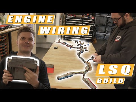 LSQ Build - Part 11 - Modifying An LS1 Engine Harness  - LS Swapped HQ Holden