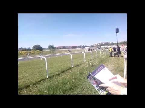 Nationaldagsgaloppen 6 juni 2013 Gärdet, Stockholm