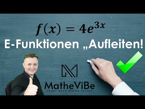 E Funktionen Stammfunktion bilden | ✌️Analysis mega easy🤝 | Dein Mathe Abitur