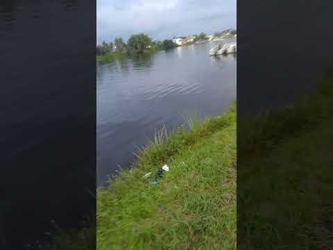 demerara river at high tide in linden guyana
