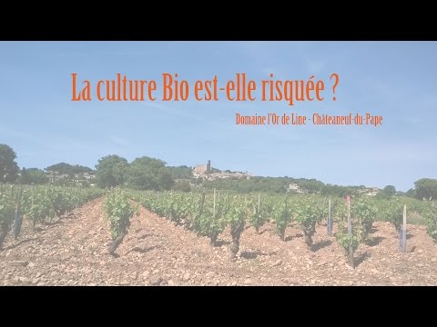La culture BIO est-elle risquée ? - Domaine l'Or de Line