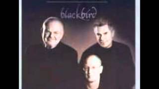 Shelly Berg Trio  Blame it on the Sun