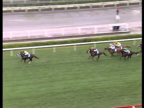 [Champions Mile 2014] VARIETY CLUB victorious in Champions Mile 2014